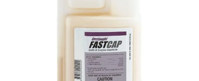 Onslaught Fastcap professional pest control insecticide for scorpions