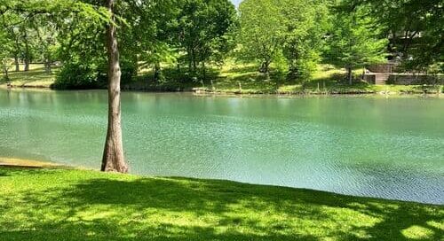 Professional pest control services for Canyon Lake vacation homes and absentee owners - Alternative Pest Control.