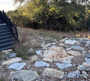 Scorpion habitat in a rocky yard in Canyon Lake, TX.