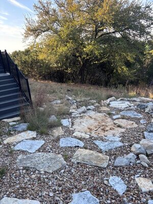 Scorpion habitat in a rocky yard in Canyon Lake, TX.